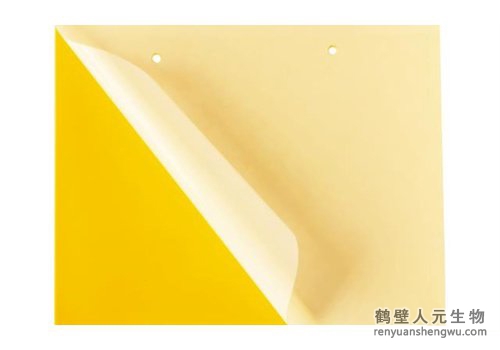 全降解诱虫板