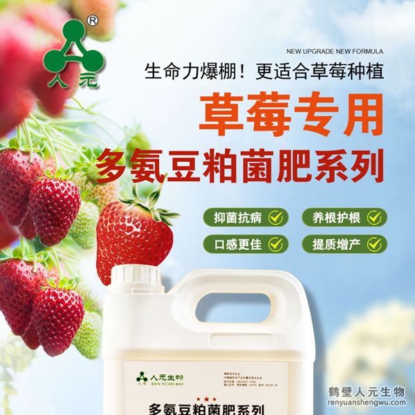 多氨豆粕菌肥系列草莓专用肥由河南省微生物菌剂工程技术研究中心研制，南宫NG·28相信品牌力量生产，本品是以固态发酵豆粕为主要原料，豆粕经过有益微生物菌种发酵分解，充分释放游离氨基酸，同时辅以枯草、地衣、胶冻样芽孢杆菌等有益菌群。