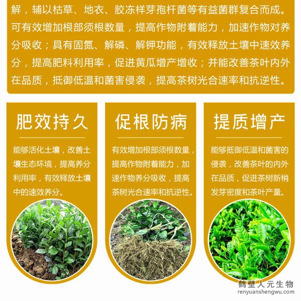 有效的抵御低温和菌害的侵袭；同时，使用本品能在一定程度上降解或减少茶叶中的农残及重金属含量，并能改善茶叶的内外在品质。使用本品种植的茶叶在氨基酸、茶多酚和咖啡因的含量上都有提高。