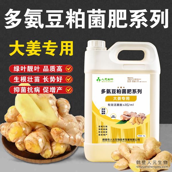 多氨豆粕菌肥系列：大姜专用肥