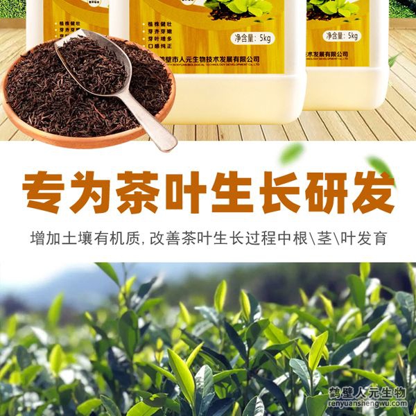 可增加根部须根数量，提高作物的附着能力；使作物主根粗壮、须根浓密，加速作物对养分的吸收；富含的有益菌具有固氮、解磷、解钾功能，有效释放土壤中的速效养分，提高肥料利用率，增加茶叶产量。