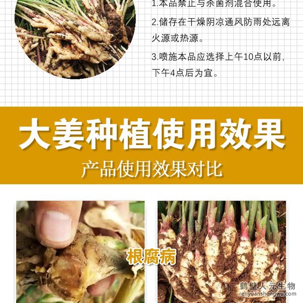多氨豆粕菌肥系列大姜专用肥使用注意事项