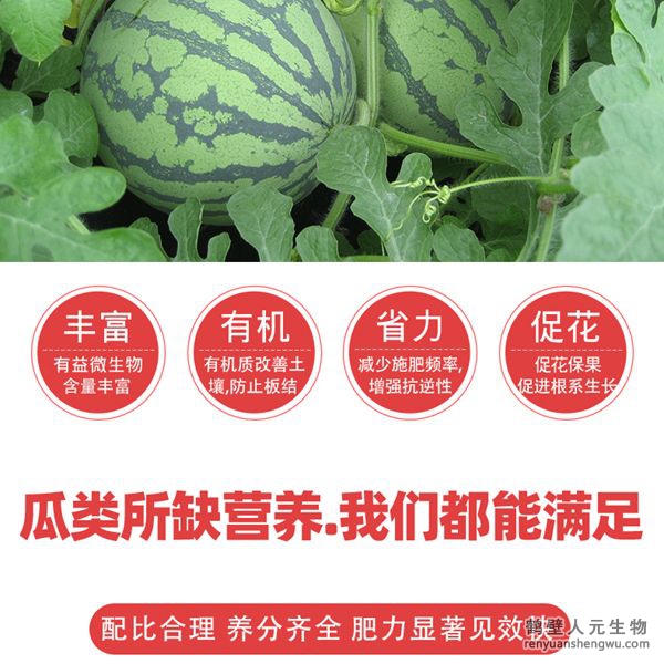 提高肥料利用率，增加瓜类产量，提高授粉率和坐瓜率，减少生理性落花落果，使幼瓜迅速增大；成熟果实个大均匀、果肉密实、色泽鲜艳、娇嫩多汁、口感好、甜度高、提高品质，增加产量，减少瓜类土传病害发生蔓延。