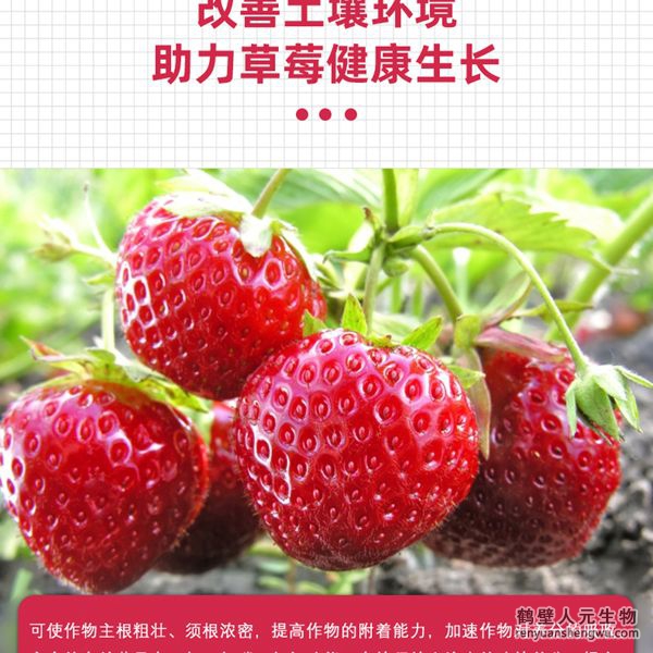 多氨豆粕菌肥系列草莓专用肥特点