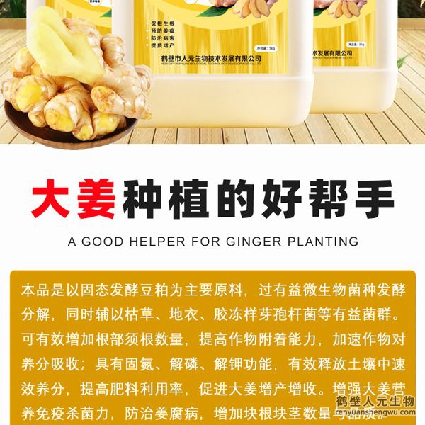 可有效增加根部须根数量，提高作物的附着能力；使作物主根粗壮、须根浓密，加速作物对养分的吸收；富含的有益菌具有固氮、解磷、解钾功能，有效释放土壤中的速效养分，提高肥料利用率，增加大姜产量。
