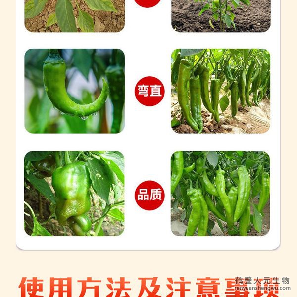 多氨豆粕菌肥系列辣椒专用肥使用效果图2