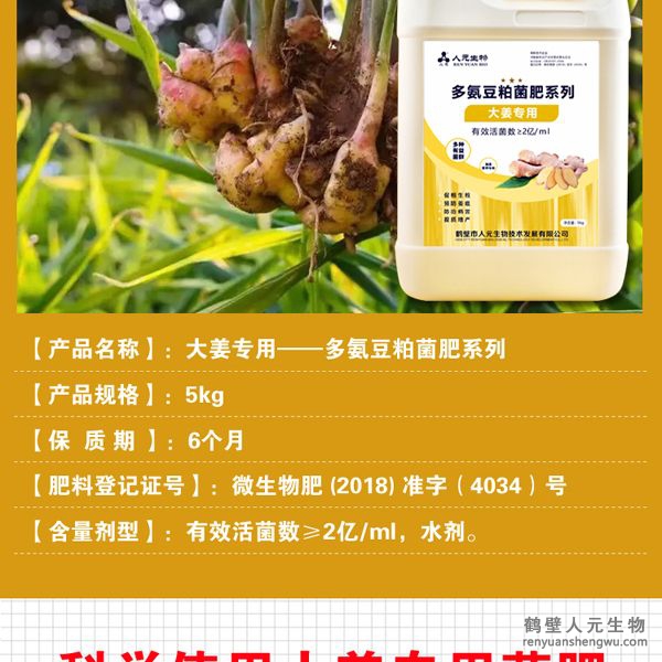 提高大姜膨产活力，姜多、姜大，姜面光滑，姜型健壮，提高品质，对姜腐败（姜瘟)有好的防治作用。并能提高改善大姜口感，使大姜辛辣清香味道纯。使果面洁净、色泽诱人、口感上佳，并能提早果实上市时间。