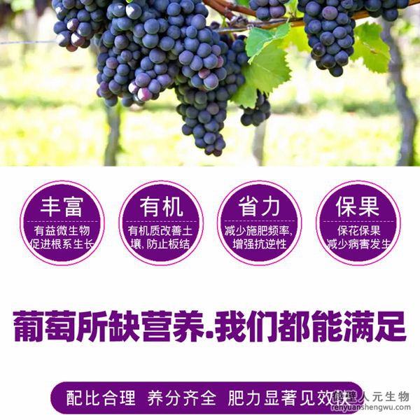 富含的有益菌具有固氮、解磷、解钾功能，有效释放土壤中的速效养分，提高肥料利用率，增加葡萄产量，提高葡萄抗逆能力，减少霜霉病、白粉病、炭疽病的发生。