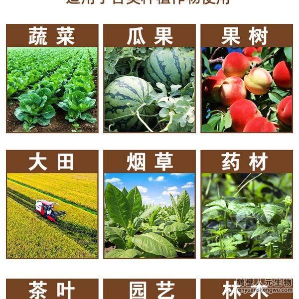 【地二春】土传病害防治菌剂适用范围