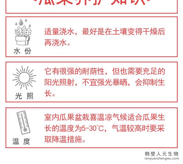 瓜果养护知识