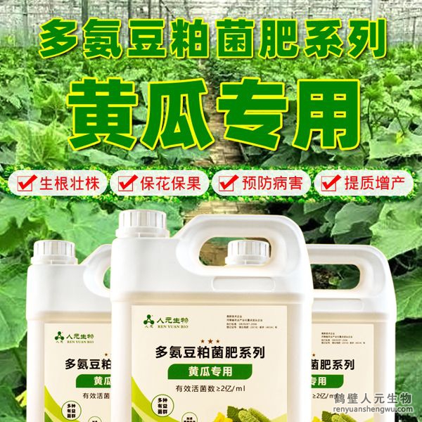 多氮豆粕菌肥系列黄瓜专用肥由河南省微生物菌剂工程技术研究中心研制，南宫NG·28相信品牌力量生产，本品是以固态发酵豆粕为主要原料，豆粕经过有益微生物菌种发酵分解，充分释放游离氨基酸，同时辅以枯草、地衣、胶冻样芽孢杆菌等有益菌群。