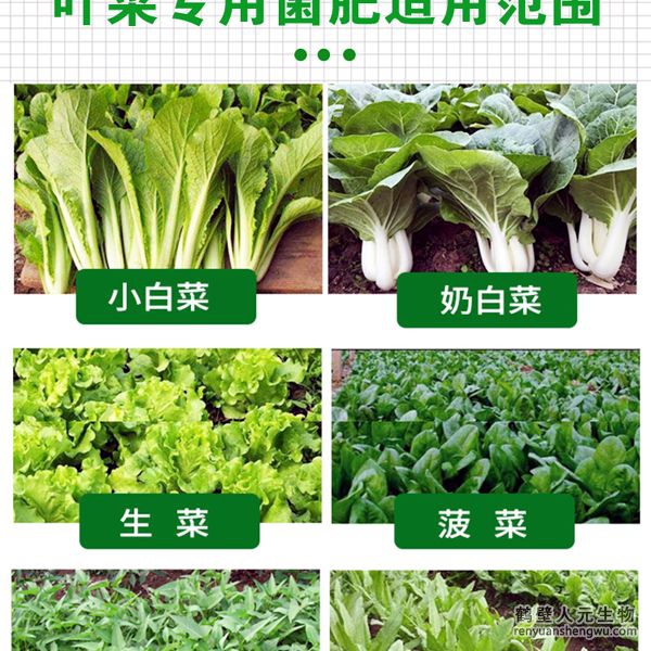 多氨豆粕菌肥系列叶菜类专用肥适用范围：适用于生菜、雍菜、油菜、茼蒿、芹菜、菠菜、木耳菜、油麦菜、韭菜、娃娃菜、空心菜、菜心、苋菜等叶菜类作物。