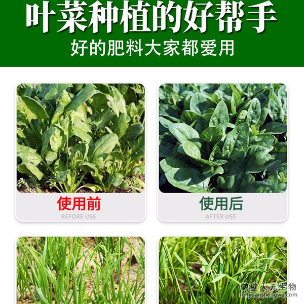 多氨豆粕菌肥系列叶菜类专用肥使用效果图1