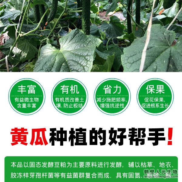 提高肥料利用率，增加黄瓜产量，有助于提高黄瓜坐果率，促进黄瓜果实膨大，提高黄瓜产量，改善黄瓜口感、瓜型、瓜色、色泽、品质等。使黄瓜提早上市并延长采收期，并能提高黄瓜采收后的耐储存能力，预防土传病害，减少病害发生。