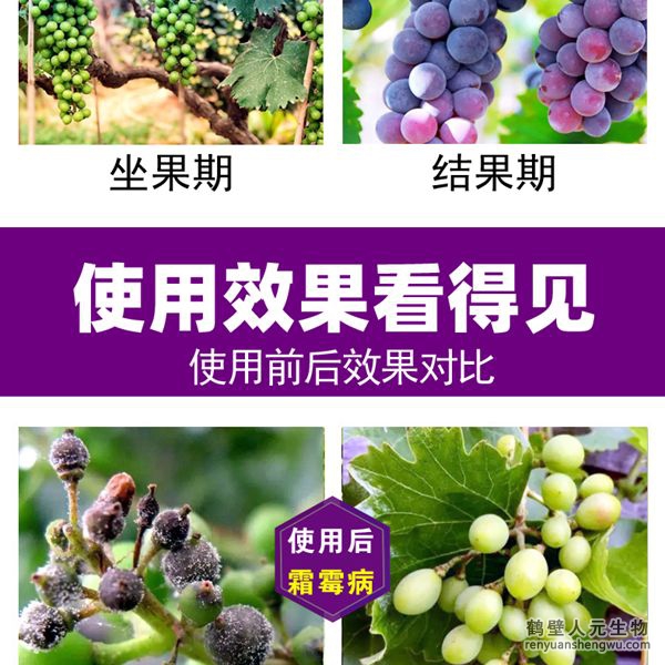 多氨豆粕菌肥系列葡萄专用肥使用效果图1