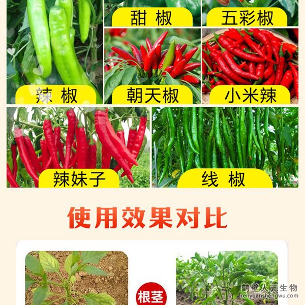 多氨豆粕菌肥系列辣椒专用肥使用效果图1