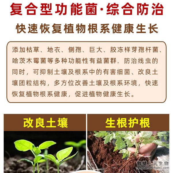 具有固氮、解磷、解钾功能，转化土壤中作物不能直接利用的氮、磷、钾元素供作物吸收，同时可分泌大量的植物生长调节物质。连续两年应用后，通过调查对比，产品在加深耕层、提高作物产量、缓解重茬障得方面效果明显。