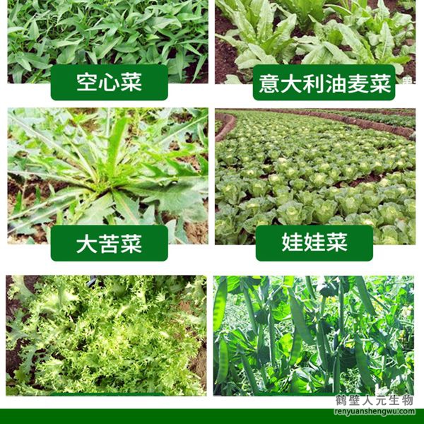 多氨豆粕菌肥系列叶菜类专用肥适用范围2