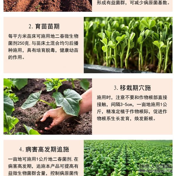 【地二春】土传病害防治菌剂使用方法2