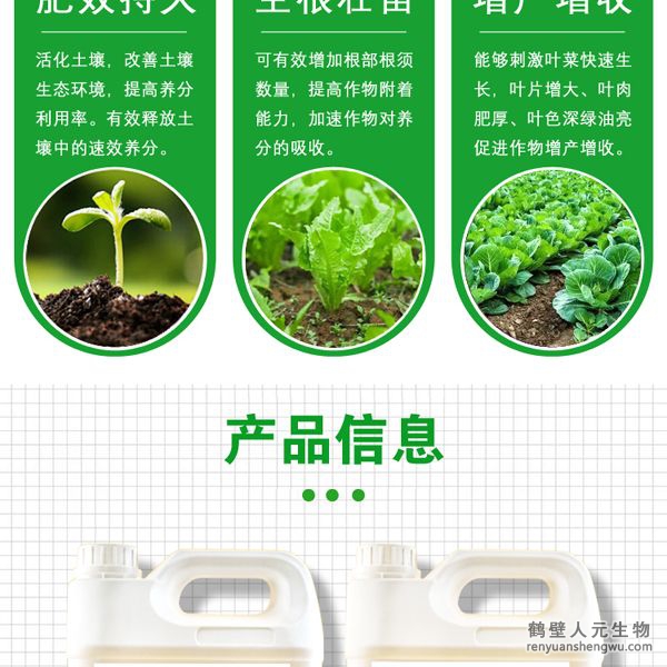 施用后各种营养物质能够被叶菜迅速吸收并在体内自由传导，能够刺激叶菜生长细胞组织的快速分裂与增长，使叶菜快速生长，强化叶菜体内新陈代谢，加速蛋白质合成，促进叶绿素的形成，增强光合作用，