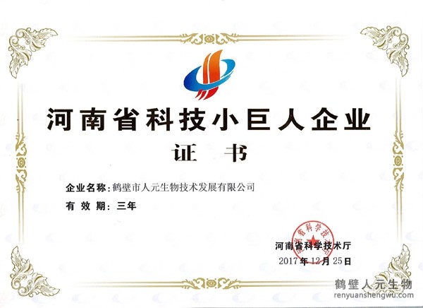 2017年河南省科技小巨人企业