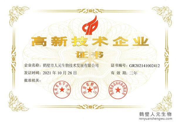 2021-2024年高薪技术企业