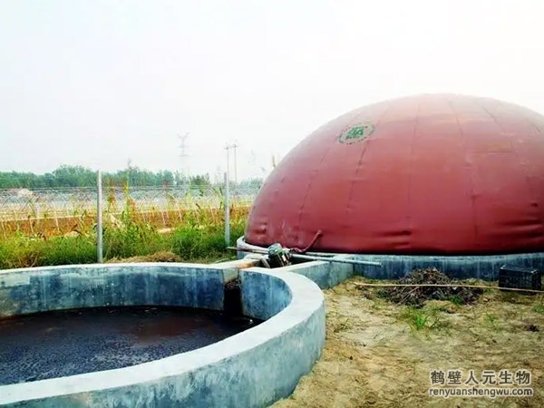 Rw粪水发酵剂