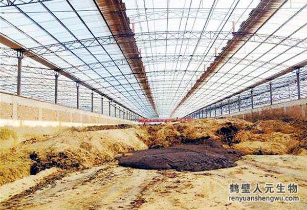 牛粪怎么发酵，堆放多久可以做肥料